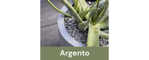 Luca Lifestyle - Argento