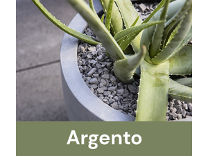 Luca Lifestyle - Argento