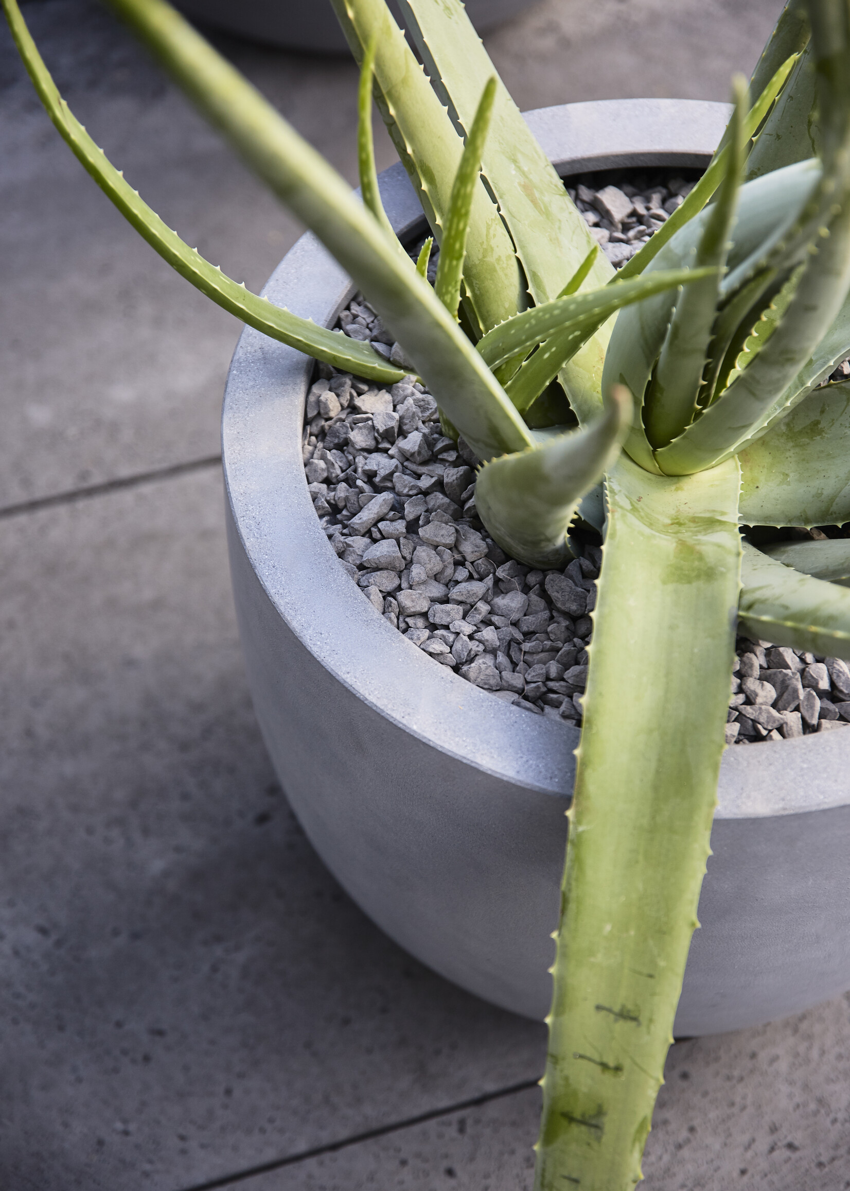 Luca Lifestyle - Argento Pflanzkübel "Argento New Egg Pot" Betongrau Rund Fiberglas
