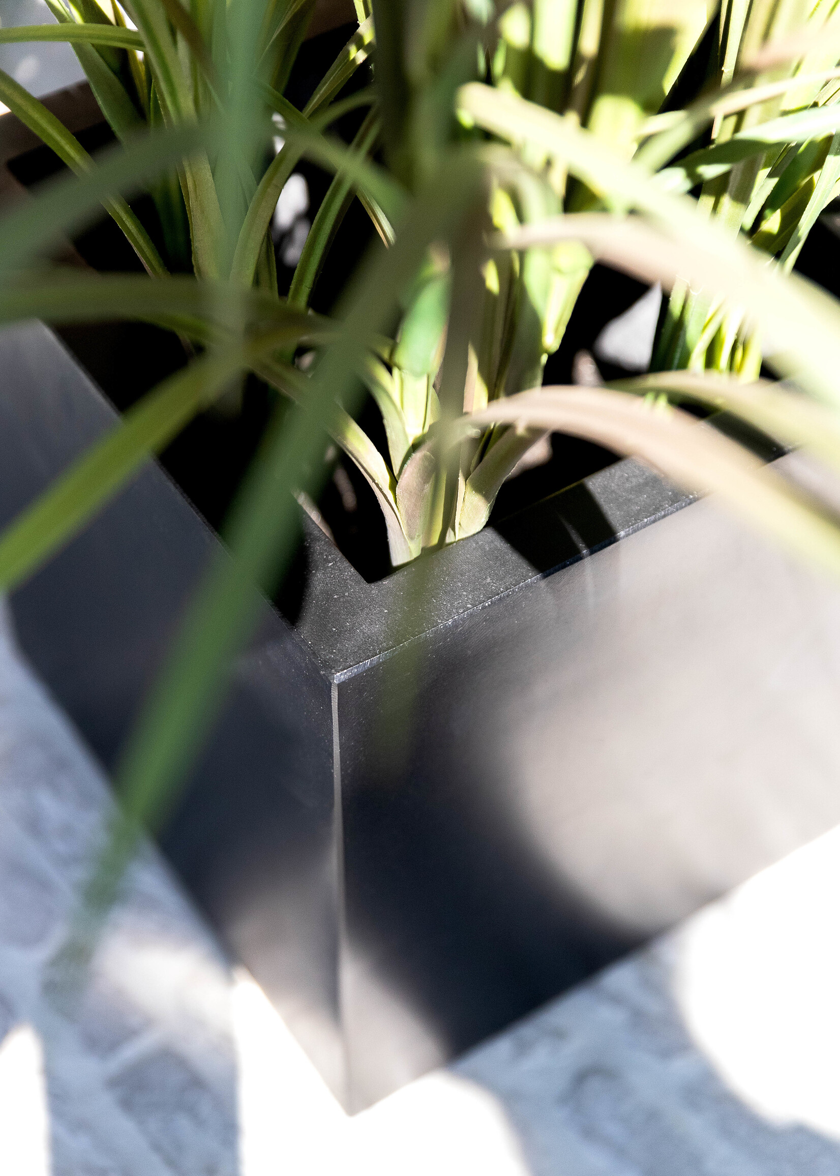 Luca Lifestyle - Argento Pflanzkübel "Argento Cube" Schwarz Quadratisch Fiberglas