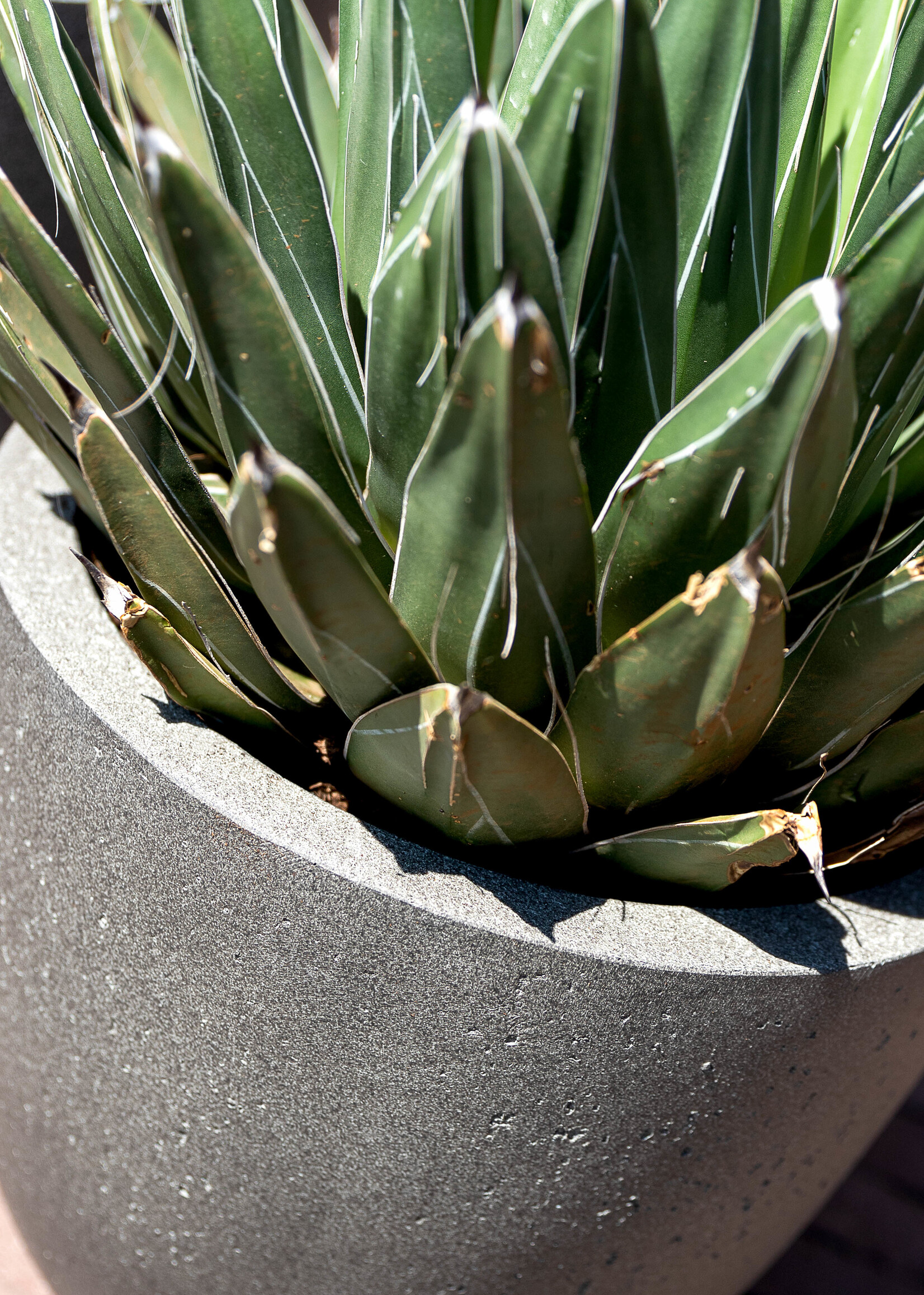 Luca Lifestyle - Grigio Pflanzkübel ''Grigio Egg Pot'' Grau Rund Fiberglas