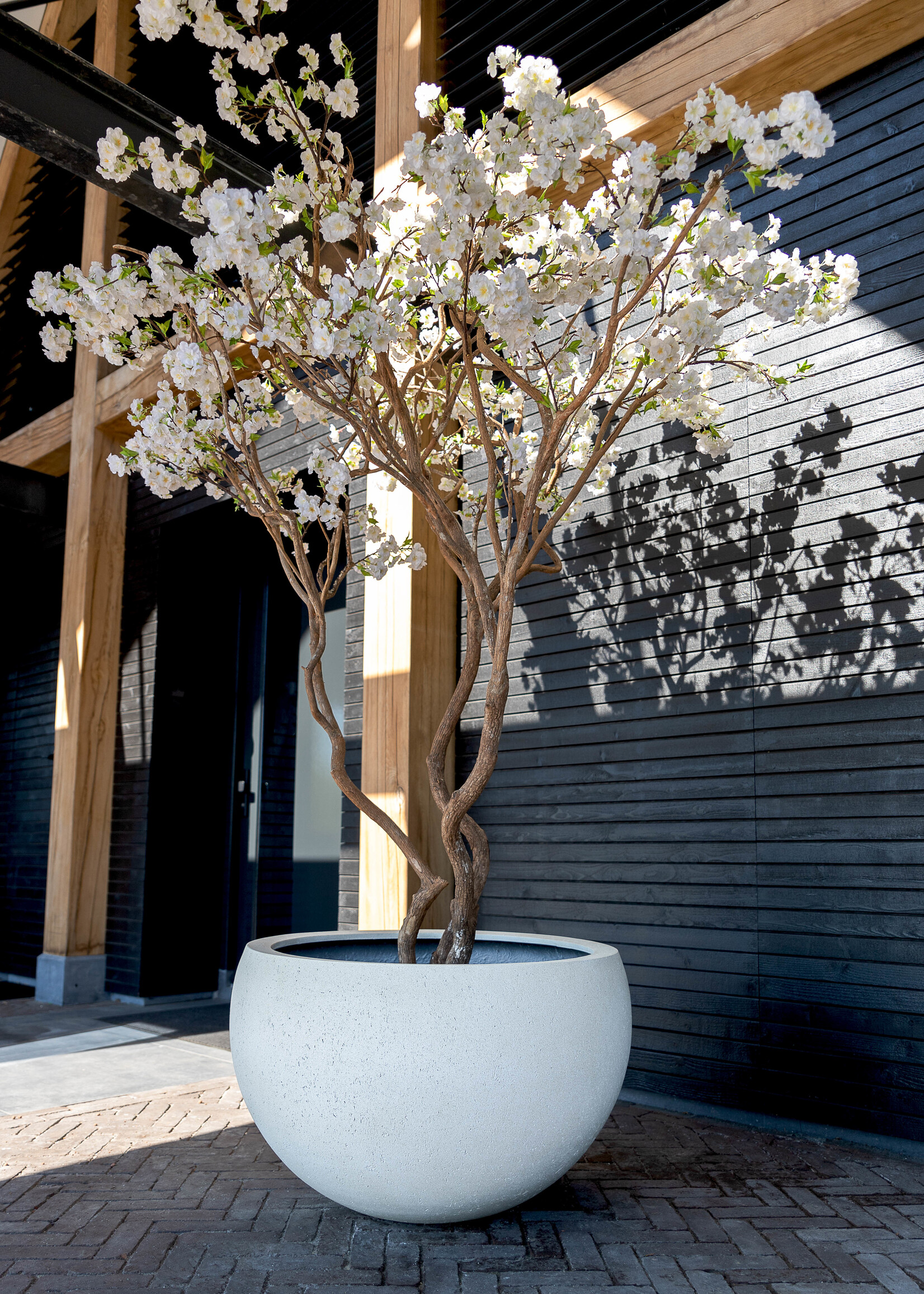 Luca Lifestyle - Grigio Pflanzkübel ''Grigio Elena'' Creme Weiß Rund Fiberglas