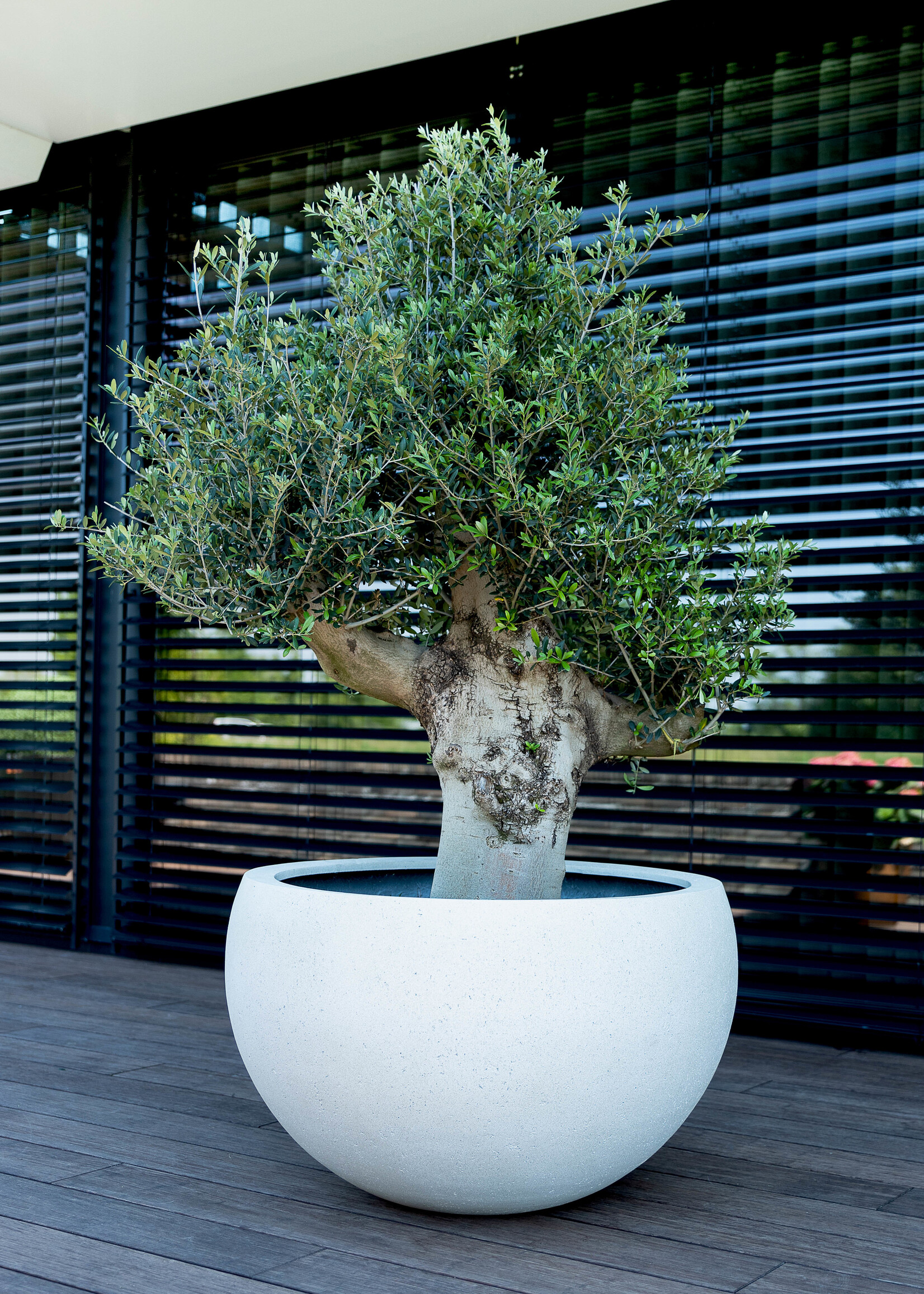 Luca Lifestyle - Grigio Pflanzkübel ''Grigio Elena'' Creme Weiß Rund Fiberglas