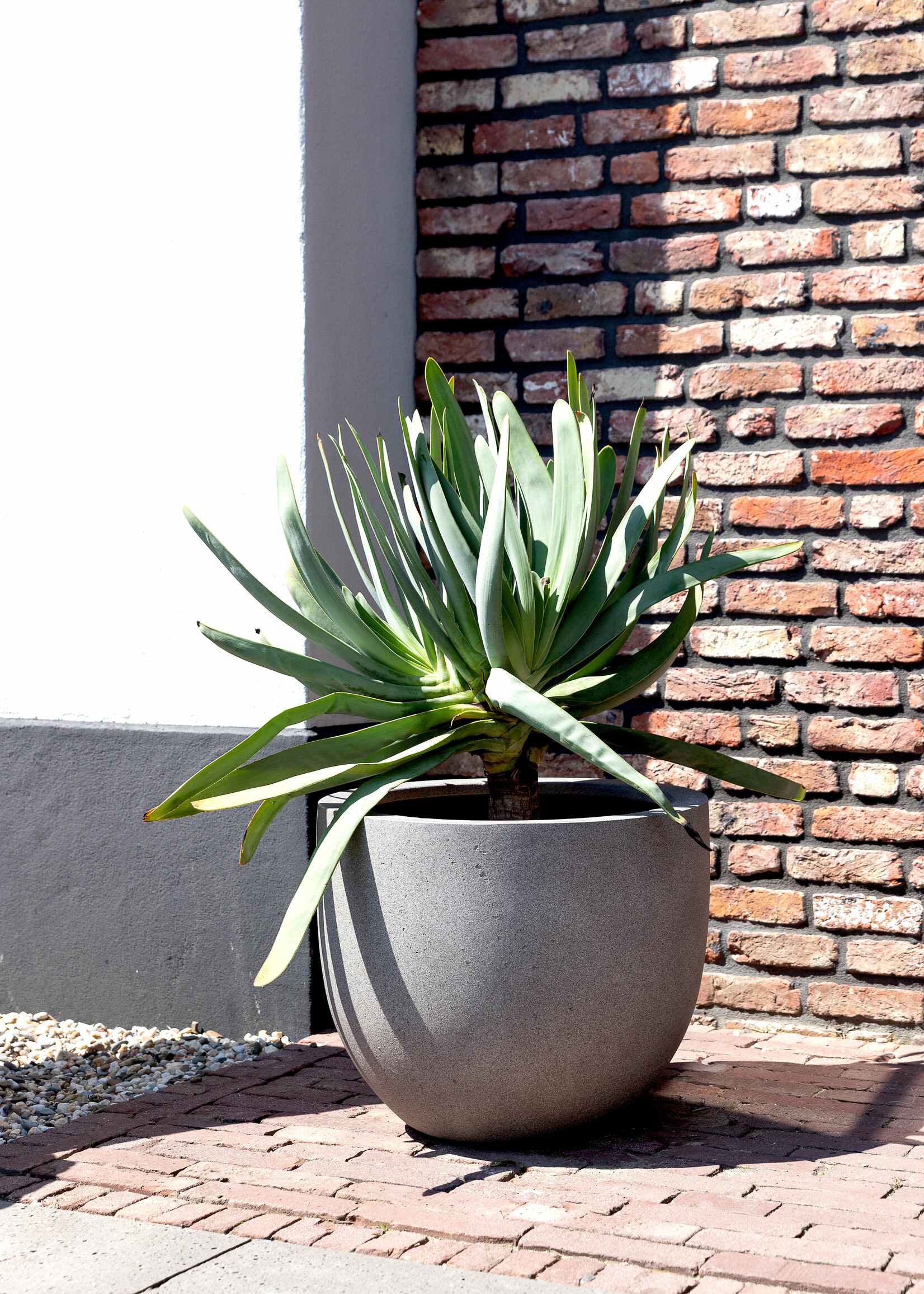Luca Lifestyle - Grigio Pflanzkübel ''Grigio New Egg Pot'' Grau Rund Fiberglas