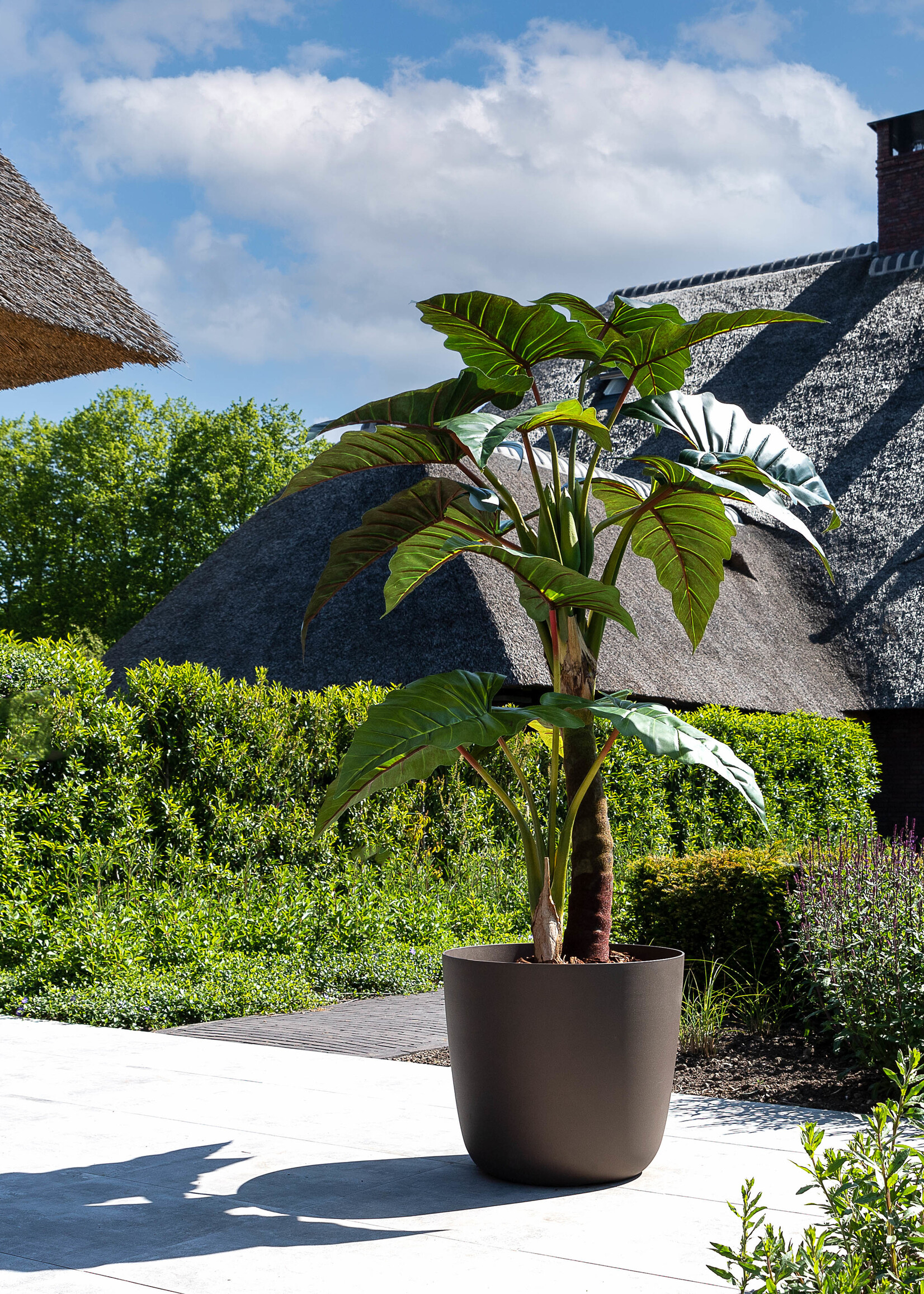 Metallico Pflanzkübel "Metallico Carmen" Marrone Rund Aluminium