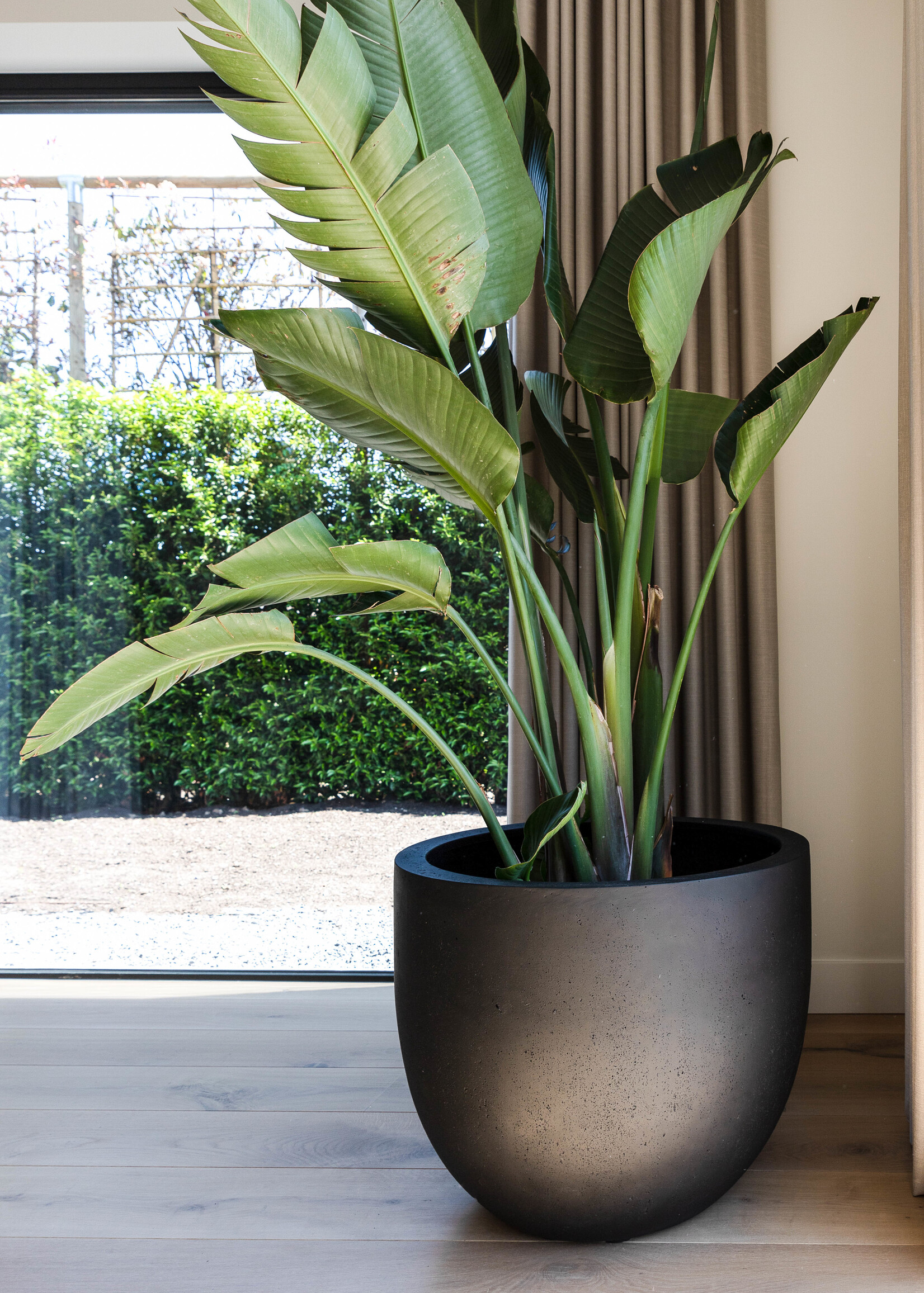 Luca Lifestyle - Grigio Pflanzkübel "Grigio New Egg Pot" Anthrazit Rund Fiberglas