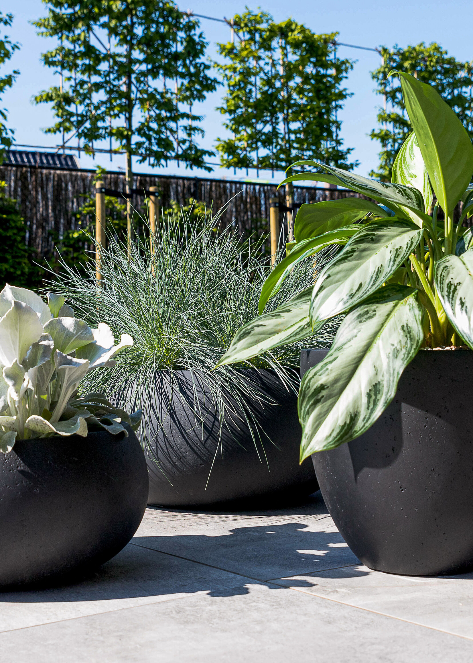 Luca Lifestyle - Grigio Pflanzkübel ''Grigio Egg Pot'' Anthrazit Rund Fiberglas
