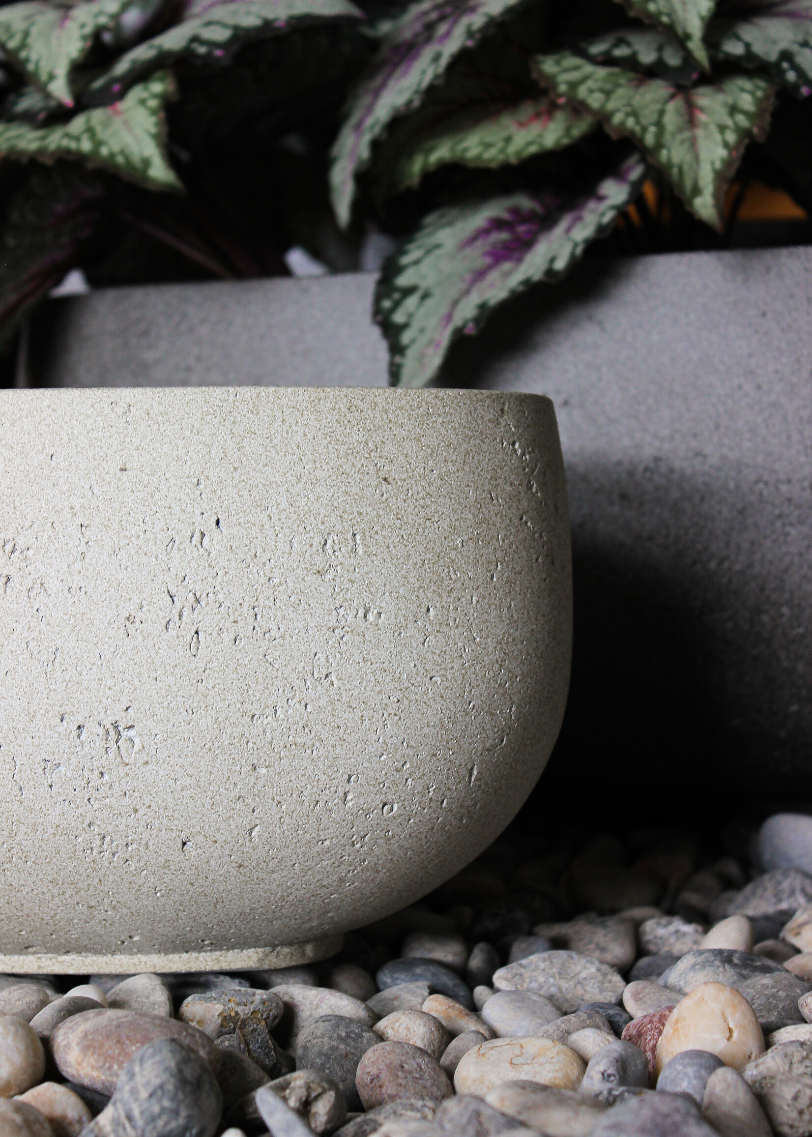 Luca Lifestyle - Grigio Pflanzkübel ''Grigio Longtail'' Creme Weiß Rund Fiberglas