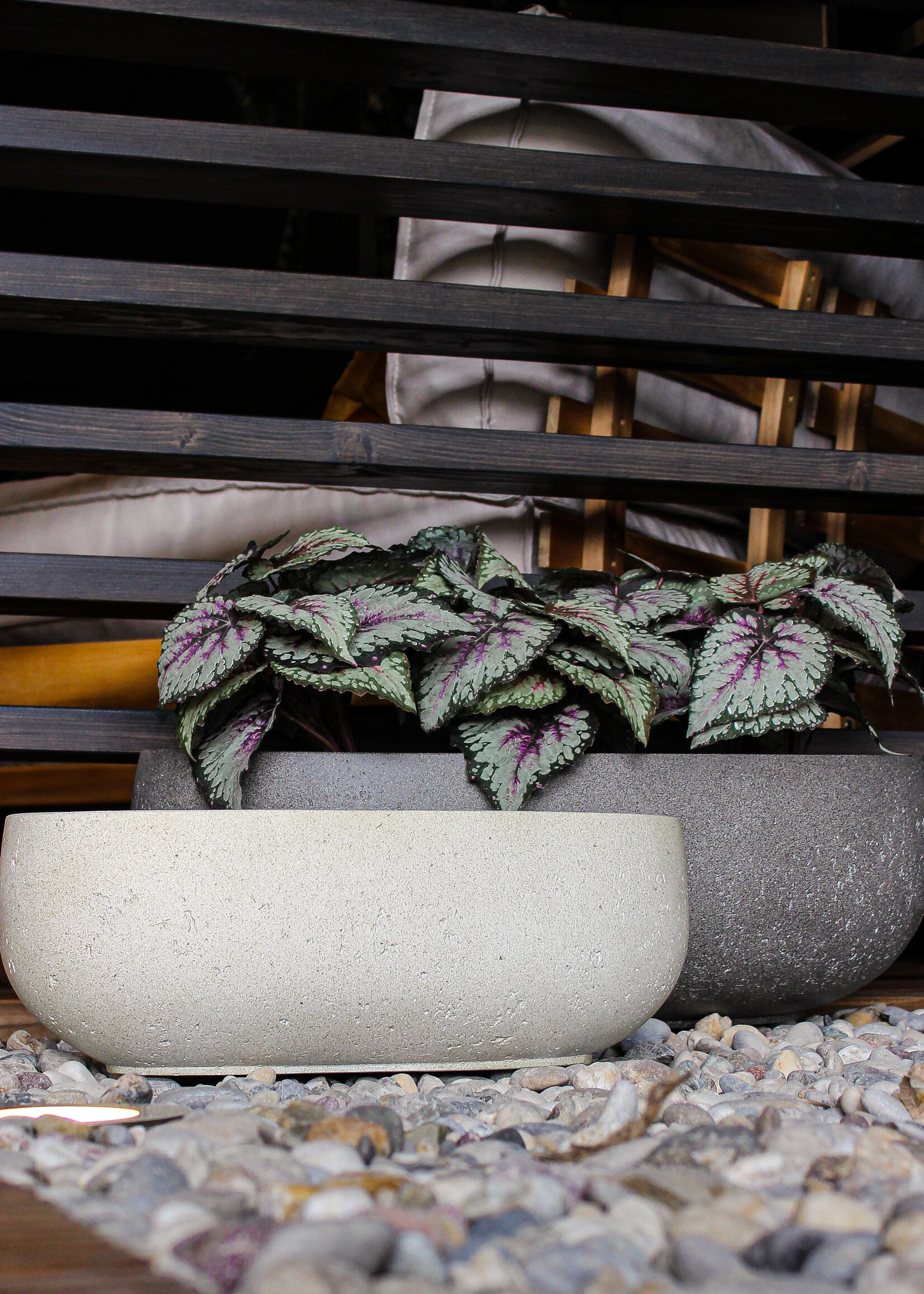 Luca Lifestyle - Grigio Pflanzkübel ''Grigio Longtail'' Grau Rund Fiberglas