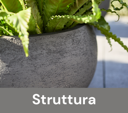 Luca Lifestyle - Struttura