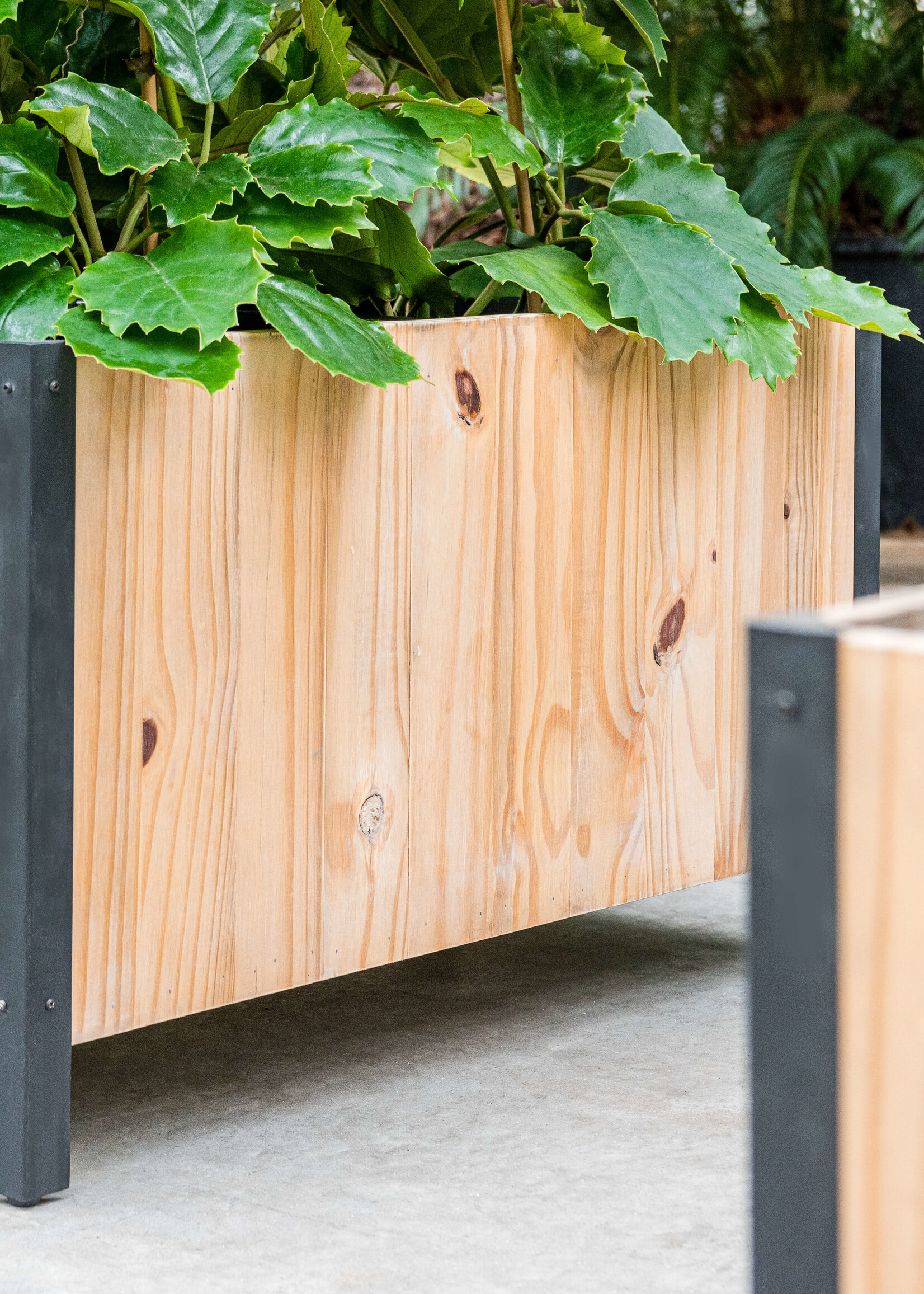 Luca Lifestyle - Marrone Pflanzkasten "Marrone Box Metal" Dark Flame Wood Rechteckig Holz