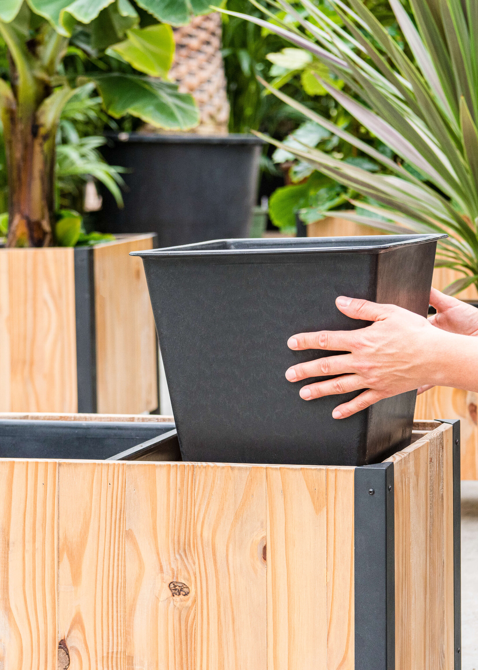 Luca Lifestyle - Marrone Pflanzkasten "Marrone Box Metal" Dark Flame Wood Rechteckig Holz