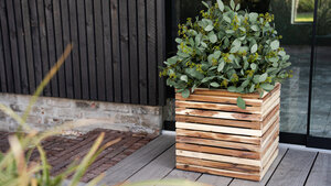 NEU: Marrone Orizzontale!