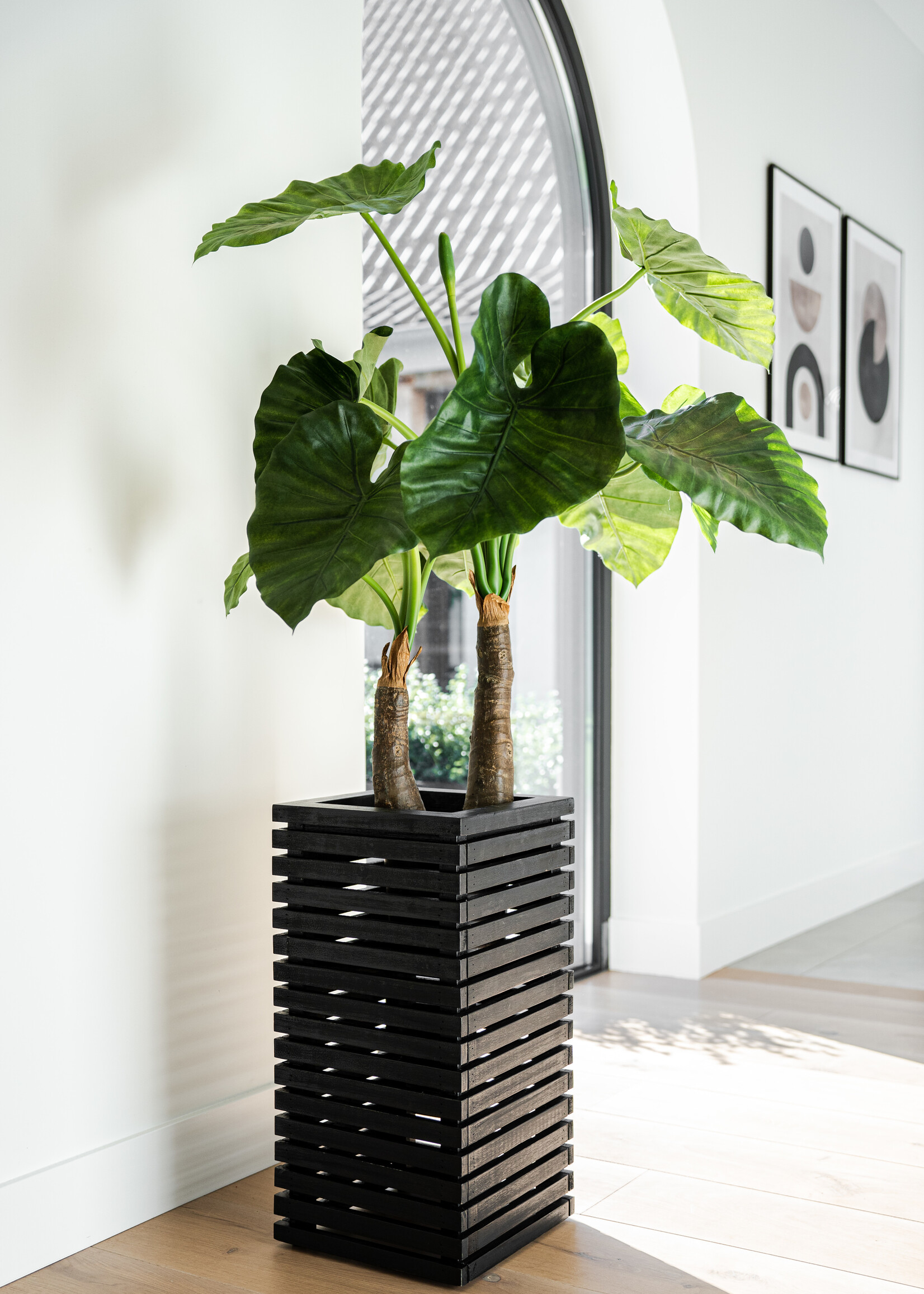 Luca Lifestyle - Marrone Pflanzkasten "Marrone Orizzontale High Cube" Schwarz Rechteckig Holz