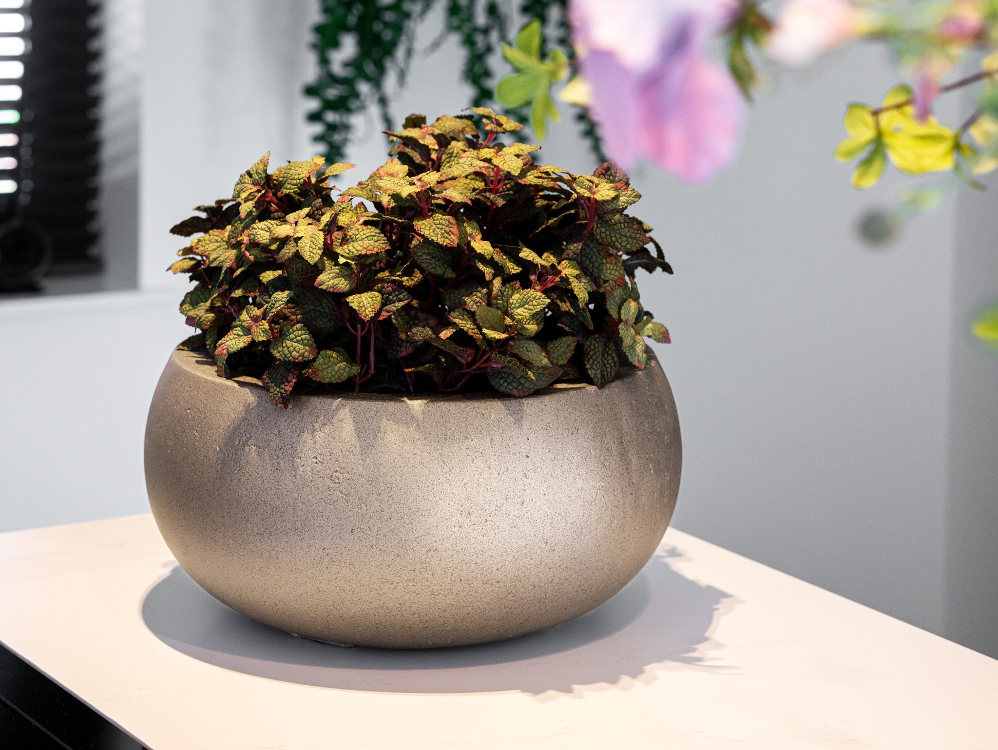 Grigio Metallic - Betonstruktur mit Metallicfarben