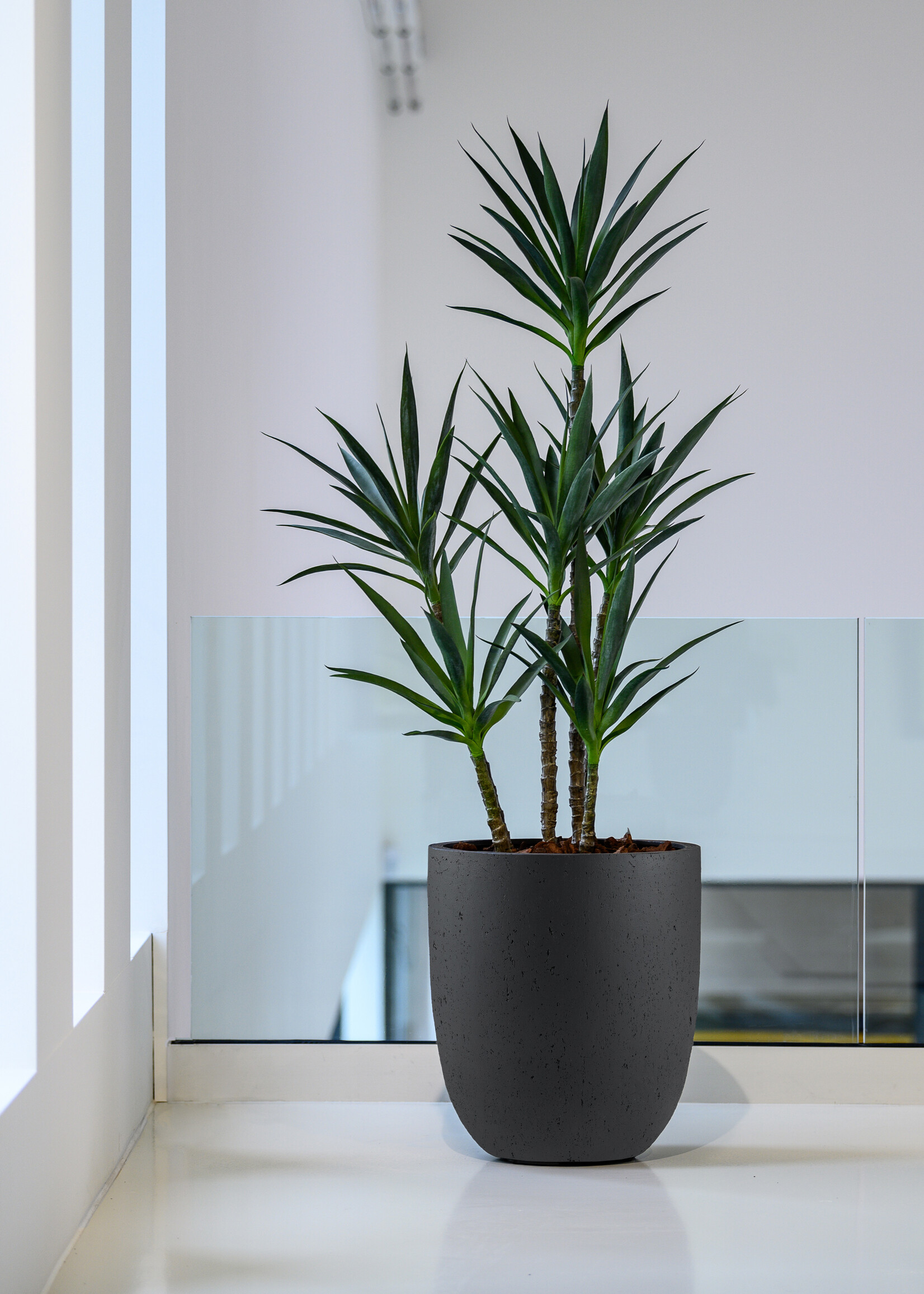 Luca Lifestyle - Grigio Pflanzkübel "Grigio Tall Egg Pot" Anthrazit Rund Fiberglas