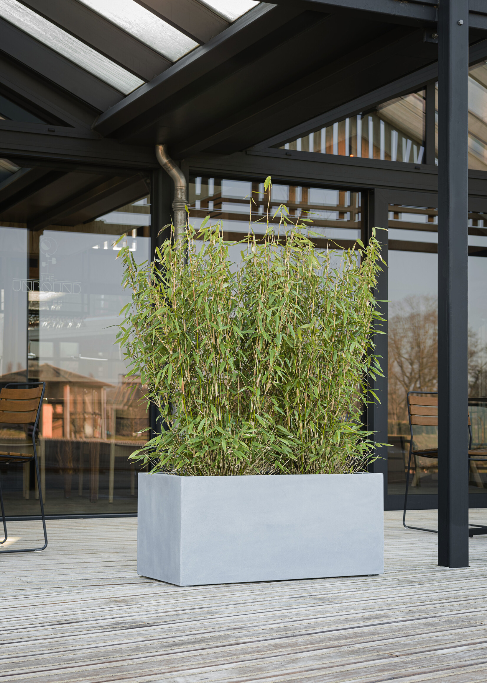 Luca Lifestyle - Argento Pflanzkasten "Argento Box" Betongrau Rechteckig Fiberglas