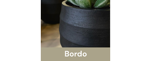 Luca Lifestyle - Bordo
