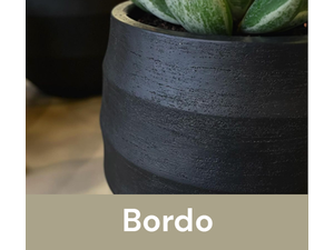 Luca Lifestyle - Bordo