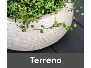 Luca Lifestyle - Terreno