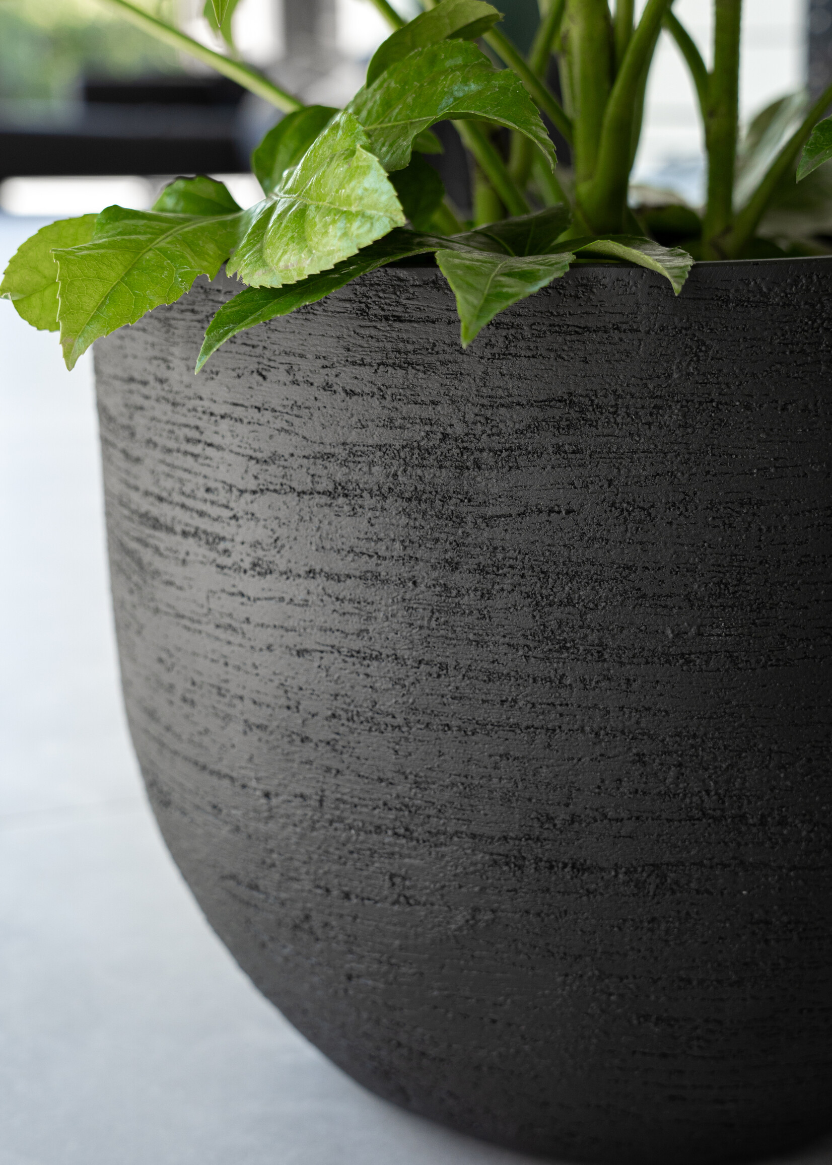 Luca Lifestyle - Terreno Pflanzkübel "Terreno New Egg Pot" Earth Rund Fiberglas