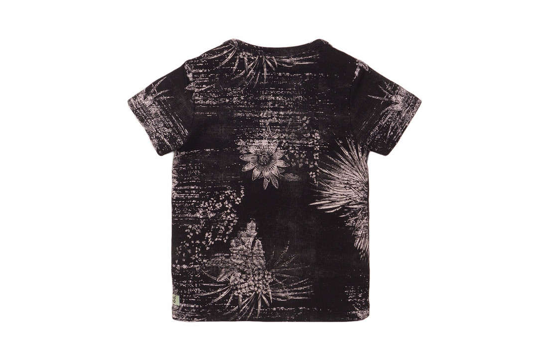 Boys T-shirt ss - Dark grey - E38851-37