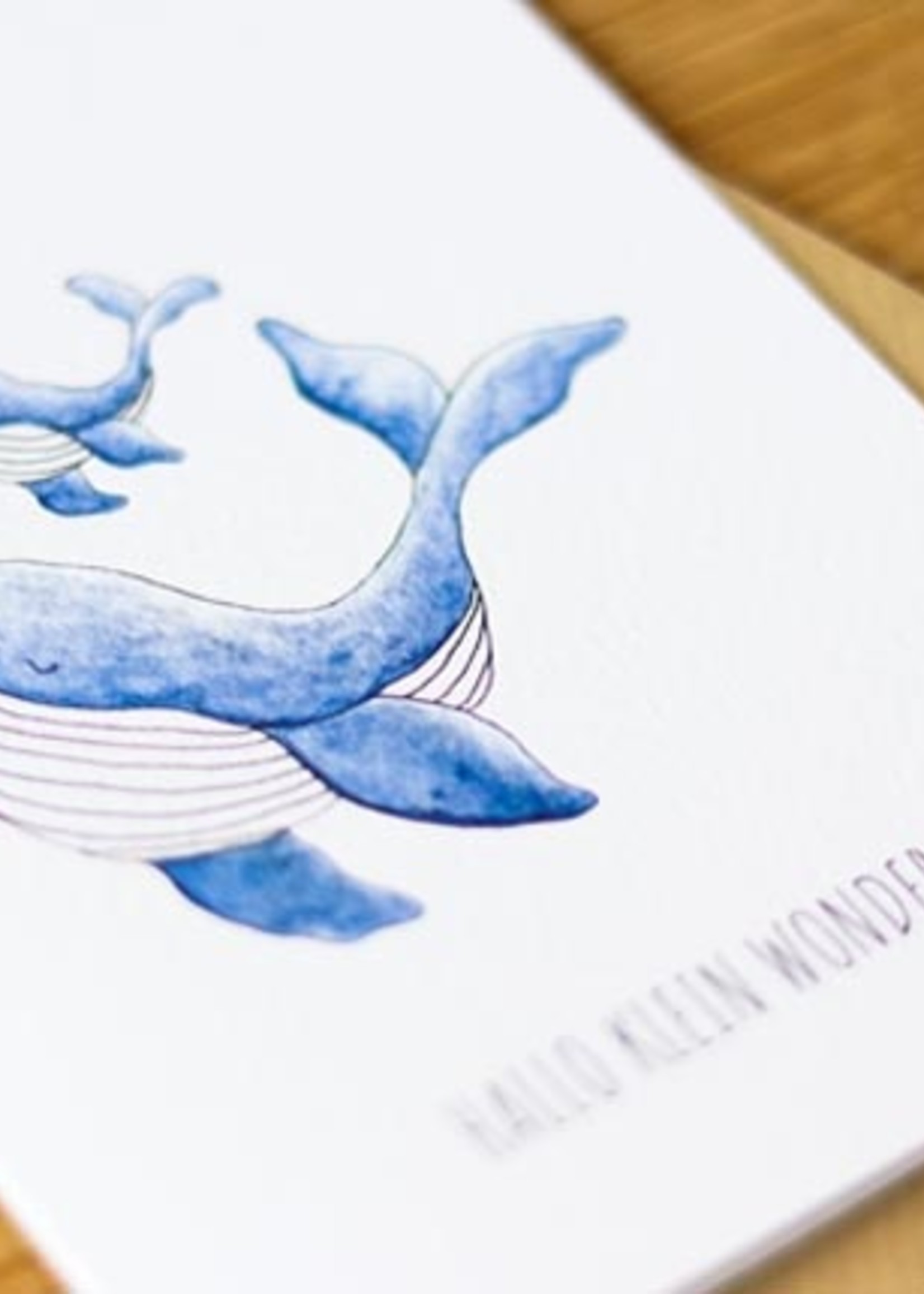 Juulz Illustrations Kaart - Geboorte jongen walvis