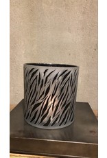 windlicht zebra