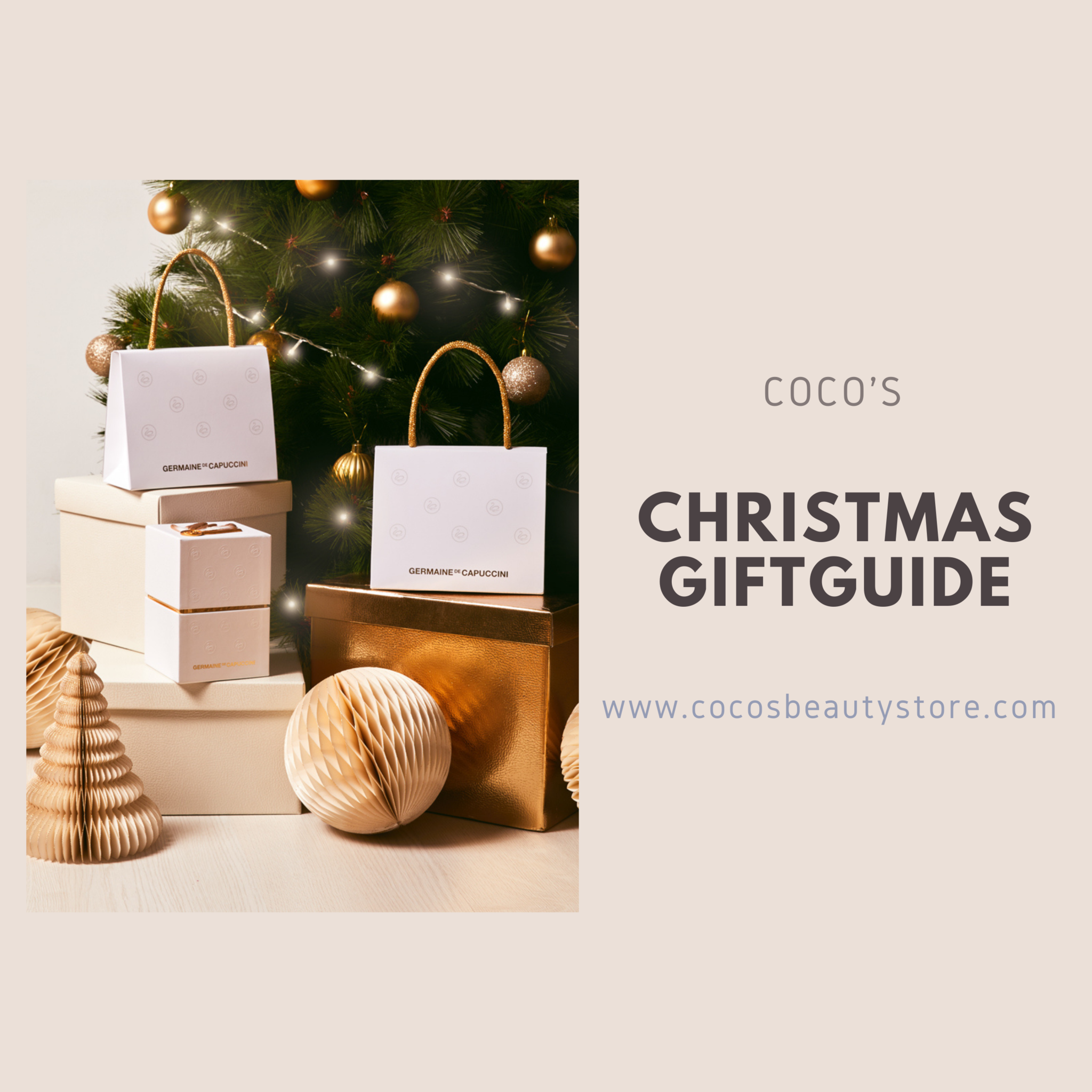 Coco's Christmas Giftguide