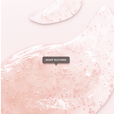 Timexpert Rides Night Success