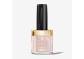 Pronails LongWear 376 Winter Blush 10 ml