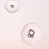 ROUTINELY | 86 EVERYDAY EXFOLIATING SERUM