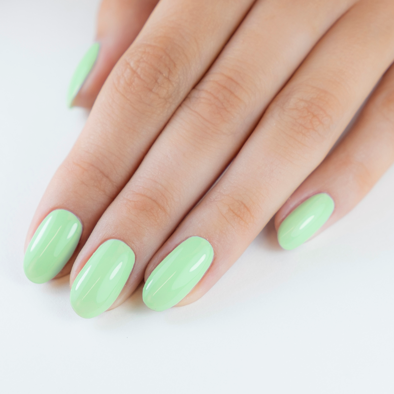 Pronails Longwear 242 Palmy Days 10 ml