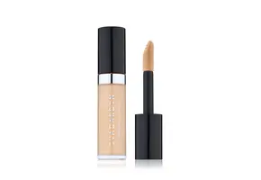 Perfector Concealer