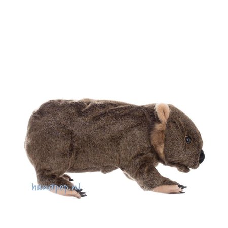 Folkmanis Wombat