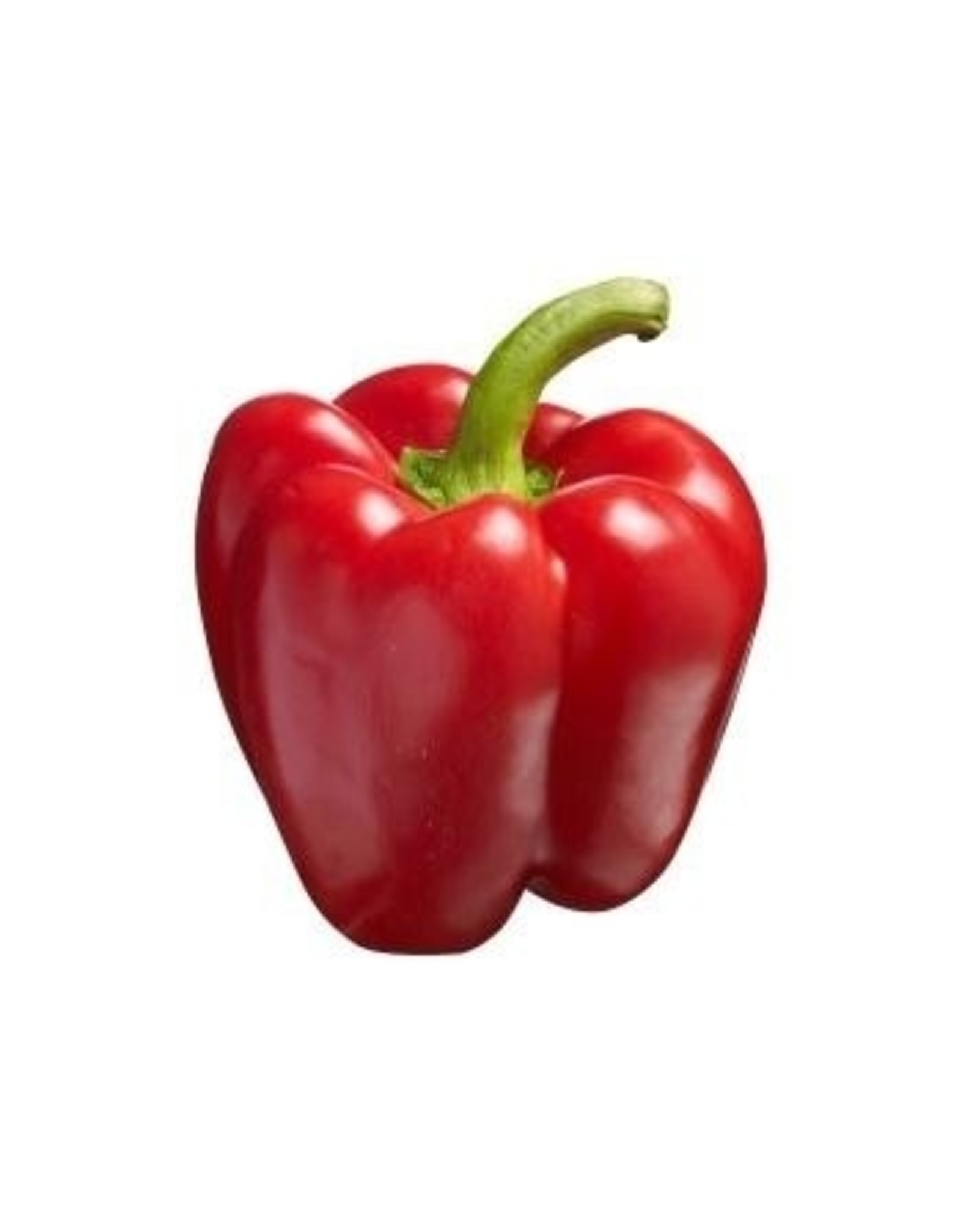 Paprika rood Landwinkel