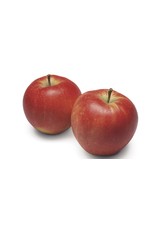 Elstar appels per kilo.