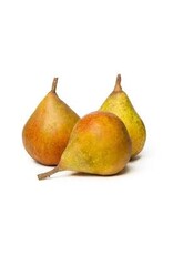 Gieserwildeman stoofperen per kilo.