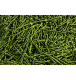 Zeekraal per 100gr.