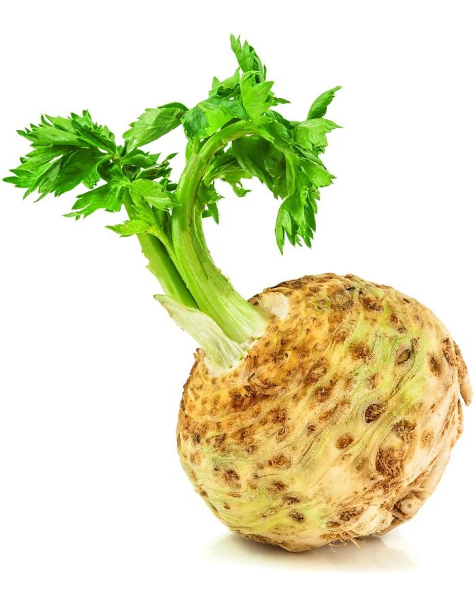 Knolselderij per stuk.