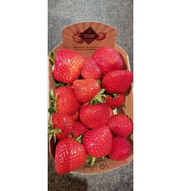 Aardbeien per 500gr eigen teelt.
