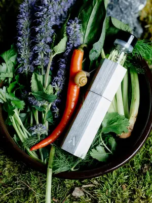 Ascent Parfum Starterpack Green