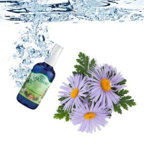 Lakshmi Kamille Blauw - Floral Water (Hydrolaat) Lakshmi Kamille Blauw - Floral Water (Hydrolaat)