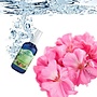 Lakshmi Geranium - Floral Water (Hydrolaat) Lakshmi Geranium - Floral Water (Hydrolaat)