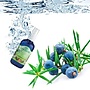 Lakshmi Juniper - Floral Water (Hydrolaat) Lakshmi Juniper - Floral Water (Hydrolaat)