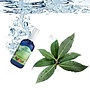 Lakshmi Laurier - Floral Water (Hydrolaat) Lakshmi Laurier - Floral Water (Hydrolaat)