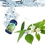 Lakshmi Oranje Bloesem - Floral Water (Hydrolaat) Lakshmi Oranje Bloesem - Floral Water (Hydrolaat)