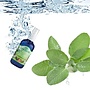 Lakshmi Pepermunt - Floral Water (Hydrolaat) Lakshmi Pepermunt - Floral Water (Hydrolaat)