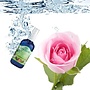 Lakshmi Rozen - Floral Water (Hydrolaat) Lakshmi Rozen - Floral Water (Hydrolaat)