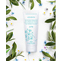 Lakshmi Desinfect Hand Gel (Aloe Vera) Lakshmi Desinfect Hand Gel (Aloe Vera)